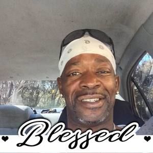 Meet your Posher, Lacy